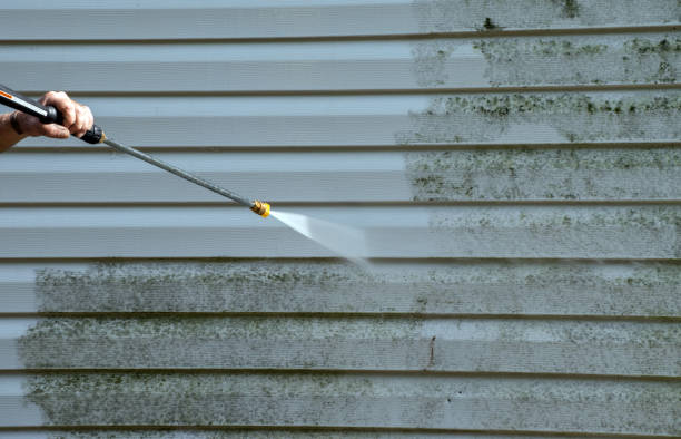 Best Deck Cleaning Services  in Pagould, AR