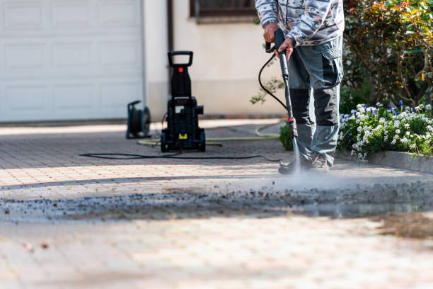 Best Best Pressure Washing Companies  in Pagould, AR