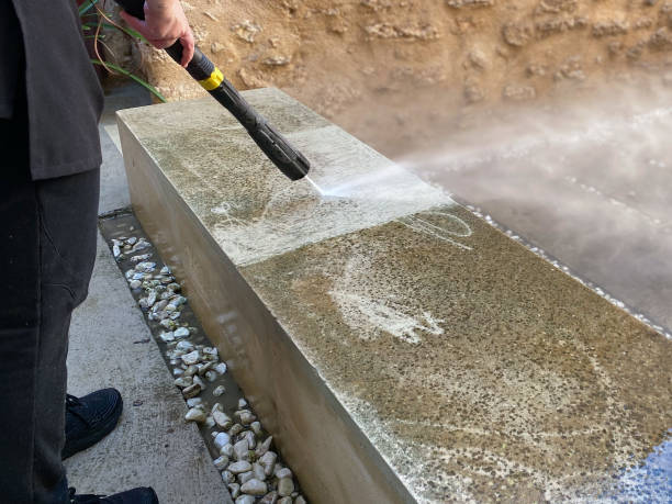 Best Roof Pressure Washing  in Pagould, AR