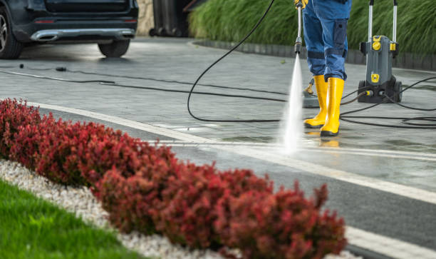 Best Roof Pressure Washing  in Pagould, AR